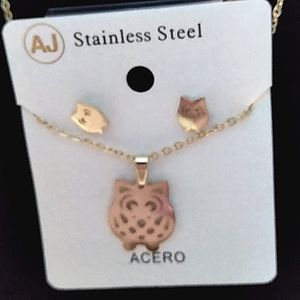 Sterling steel  chin with earrings  owel new. Smoke free home